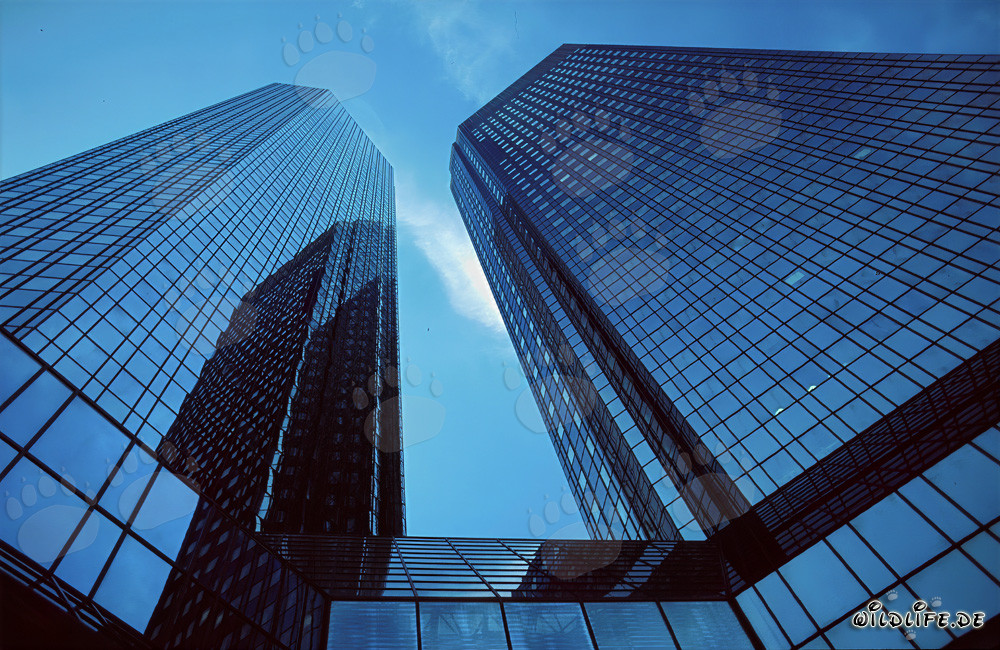 The impressive Deutsche Bank headquarters in Frankfurt