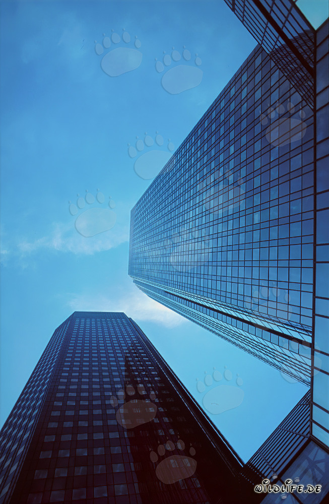 The iconic twin towers of Deutsche Bank in Frankfurt