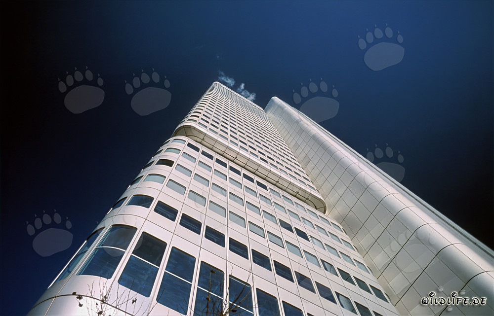 Impressive Dresdner Bank Tower in Frankfurt am Main