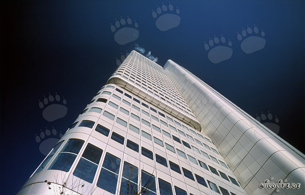 Imponente Torre della Dresdner Bank a Francoforte sul Meno
