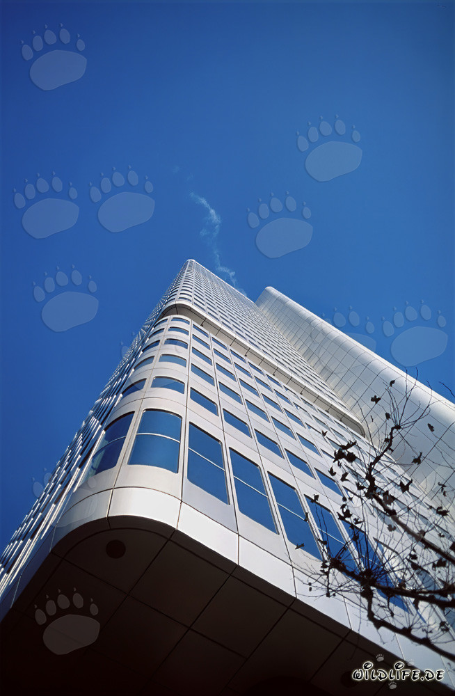 Impressive Dresdner Bank Tower in Frankfurt am Main