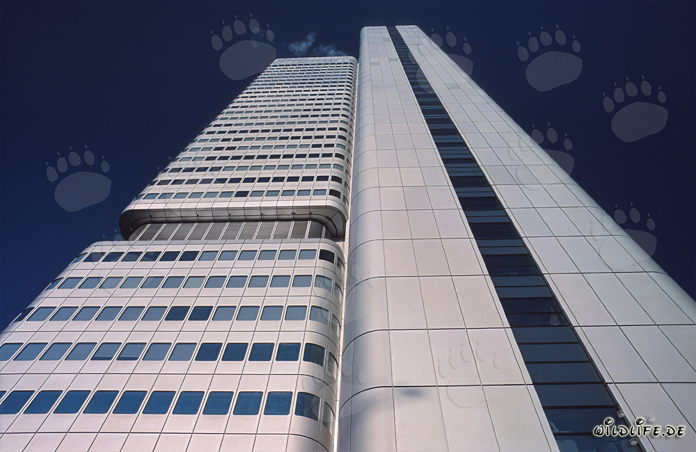 Fotografia dell'imponente Torre della Banca Dresdner a Francoforte sul Meno