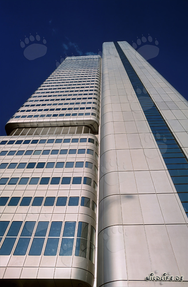 Imposanter Dresdner Bank-Turm in Frankfurt am Main