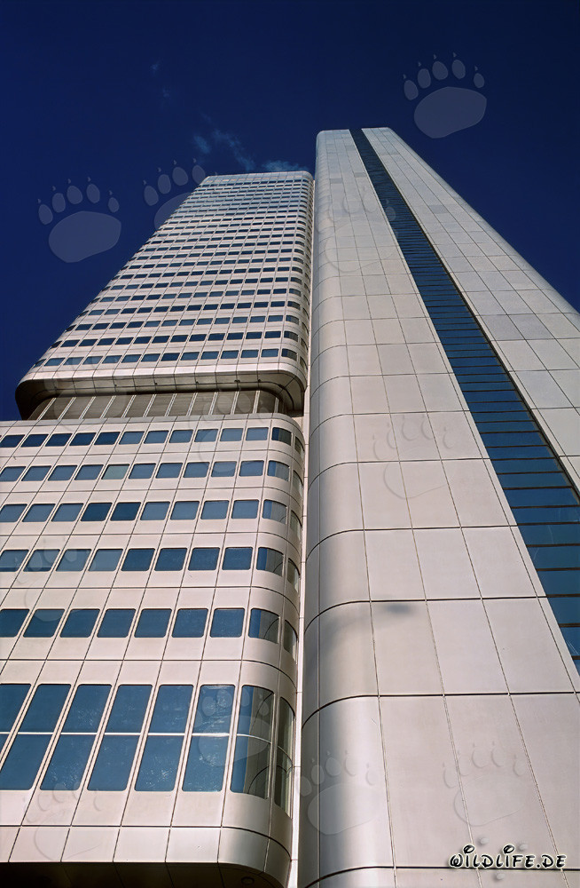 Imponente Torre della Banca Dresdner a Francoforte sul Meno