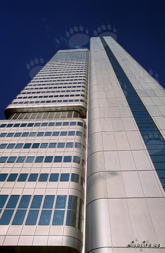 Impresionante Torre de la Banca Dresdner en Frankfurt