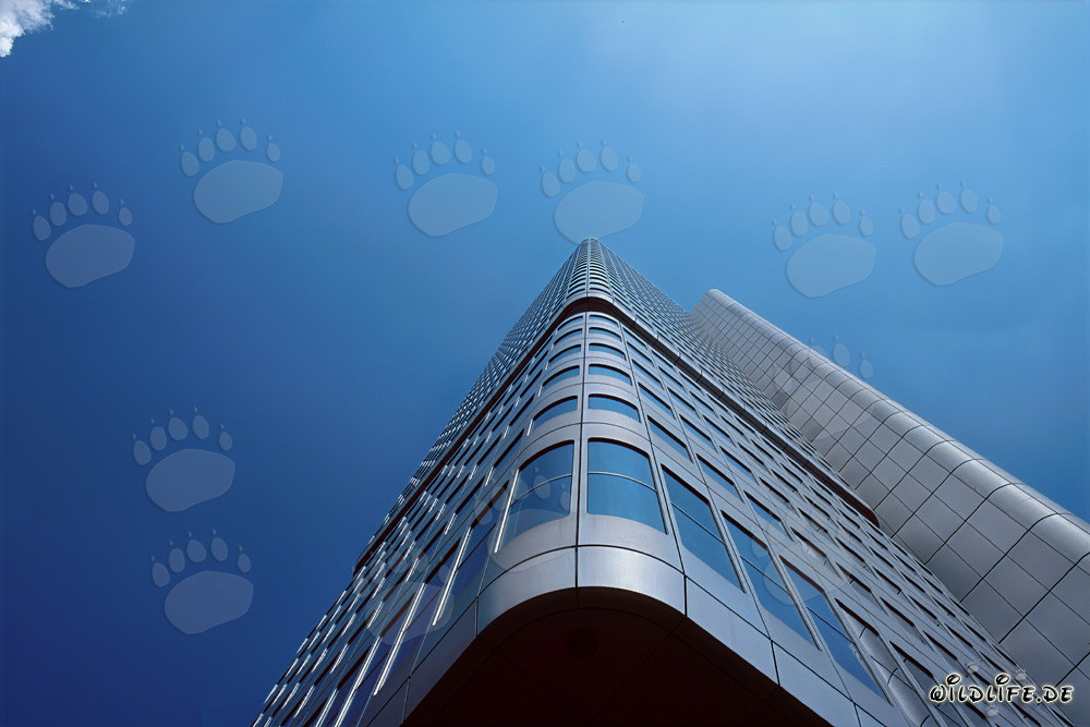 Impresionante torre bancaria de Dresde en Frankfurt del Meno
