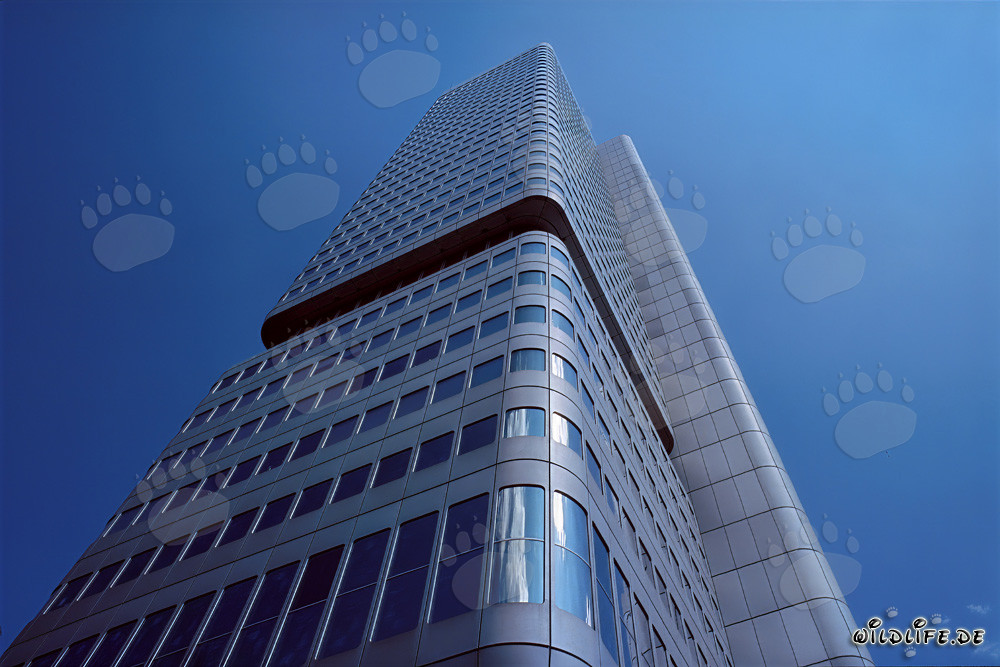 The impressive Julius Tower of Dresdner Bank in Frankfurt am Main