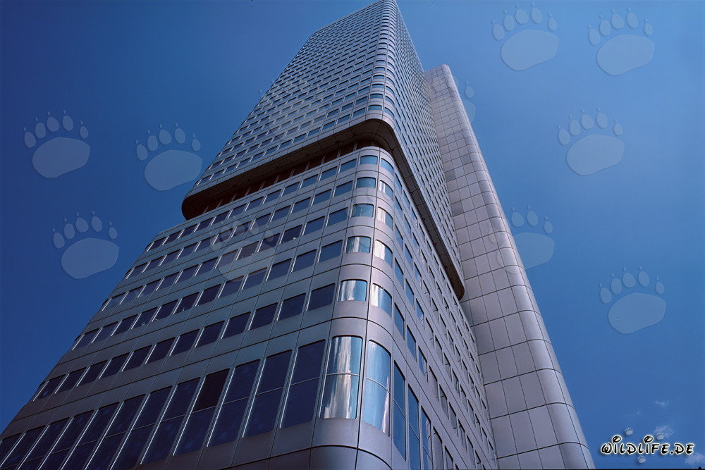 Impressive Dresdner Bank Tower in Frankfurt am Main