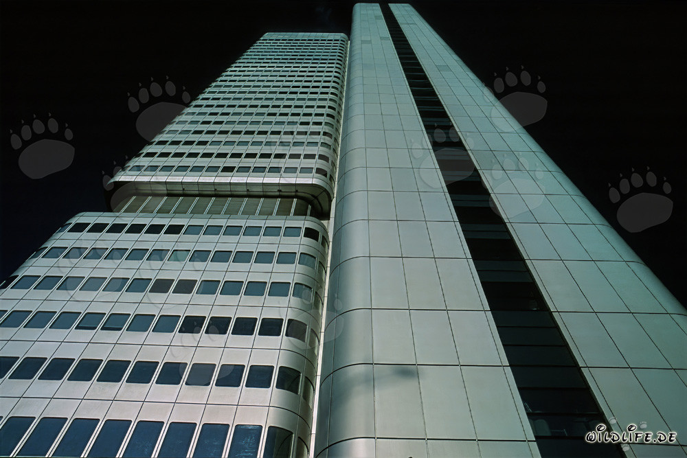 Impressive Dresdner Bank Tower in Frankfurt am Main