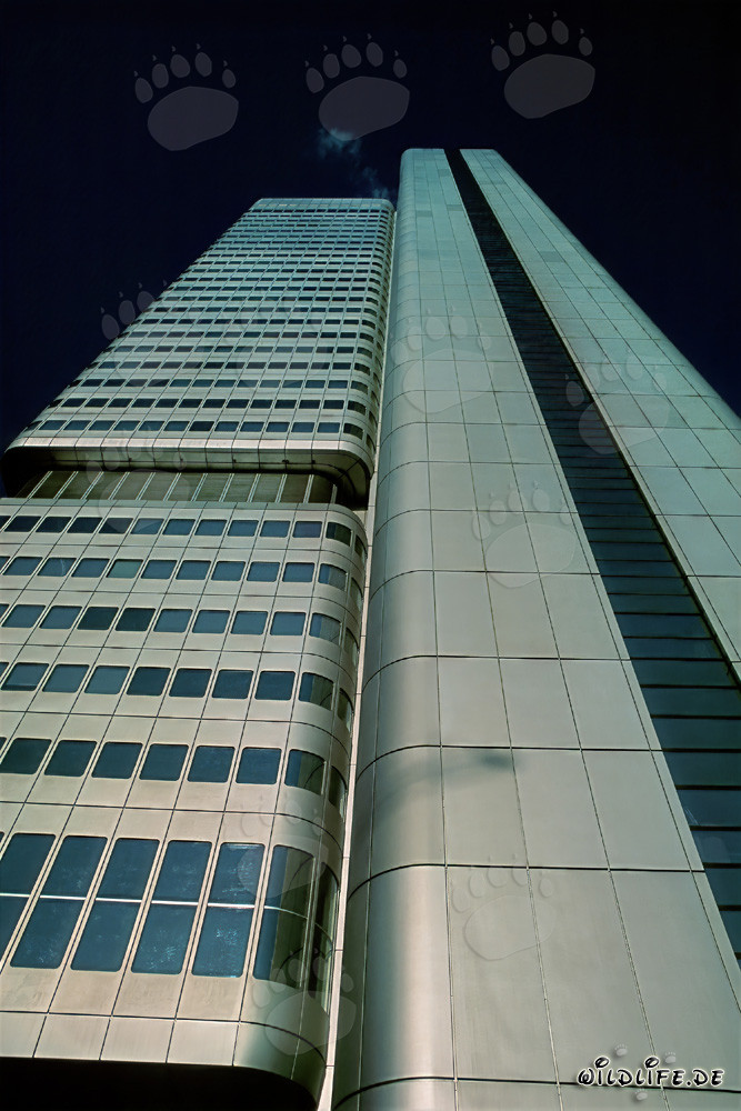 Impressive Dresdner Bank Tower in Frankfurt am Main