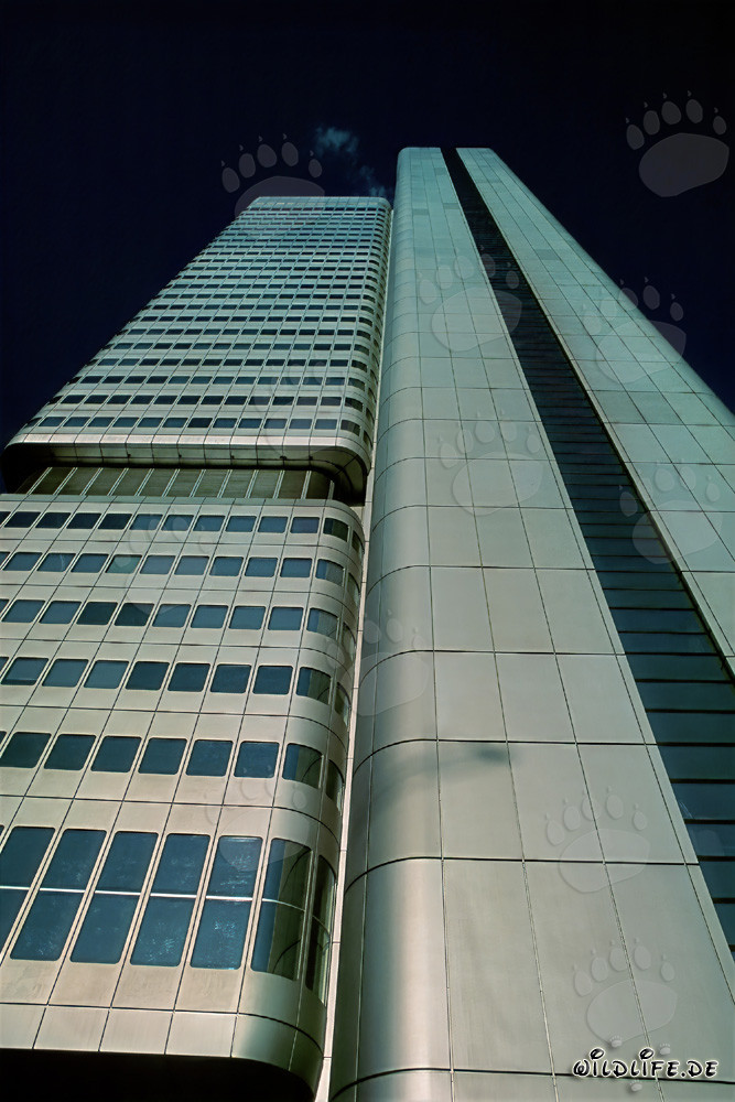 Impressionante Torre della Dresdner Bank a Francoforte sul Meno