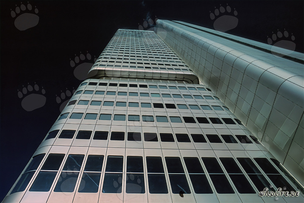 Impressive Dresdner Bank Tower in Frankfurt am Main