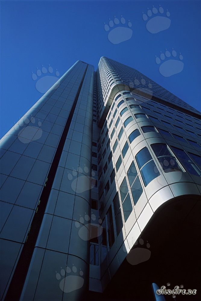 Imponente Torre della Dresdner Bank a Francoforte sul Meno