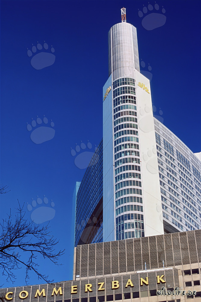 Impresionante Commerzbank Frankfurt bajo un cielo despejado