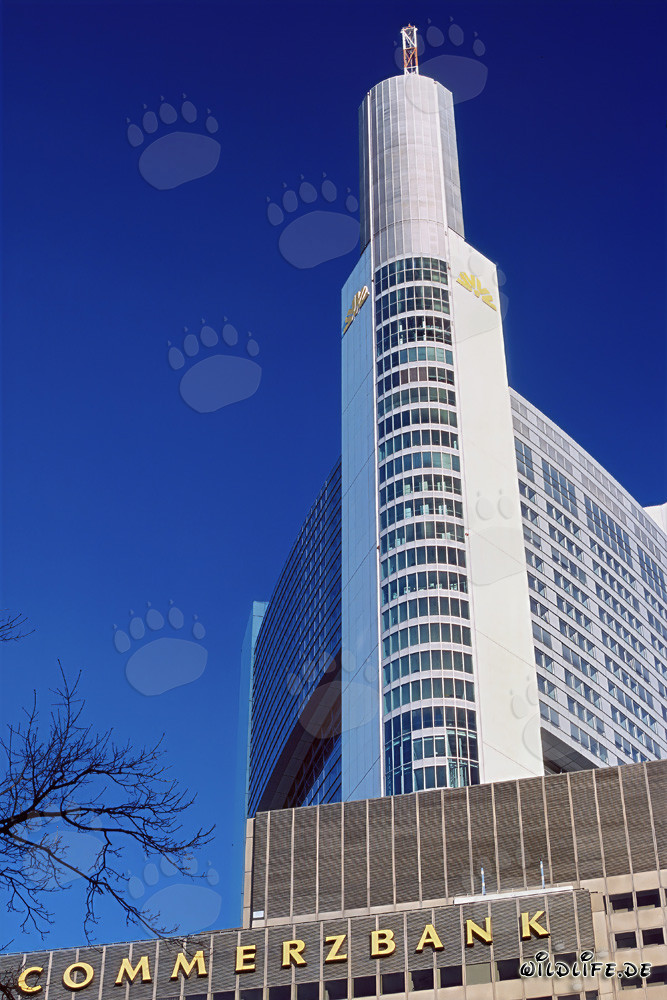 Impressive Commerzbank-Frankfurt under a clear sky