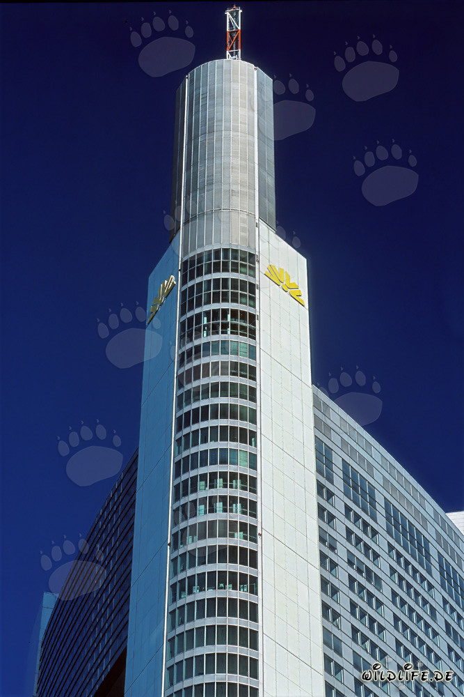 Impresionante rascacielos de la Commerzbank en Frankfurt