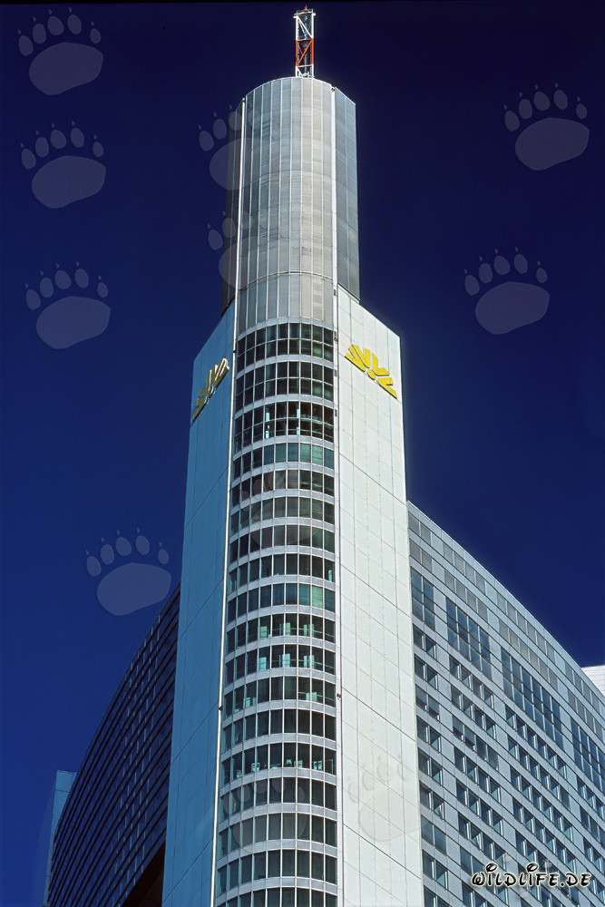 Beeindruckender Commerzbank Wolkenkratzer in Frankfurt