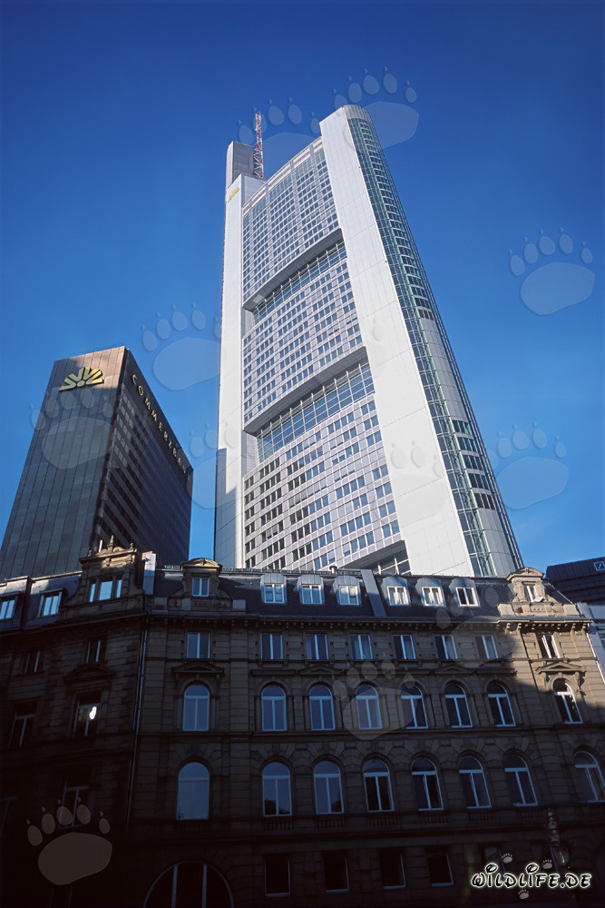 Impressive Commerzbank Tower in bright blue sky