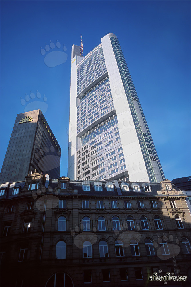 Imposanter Commerzbank Tower in strahlend blauem Himmel