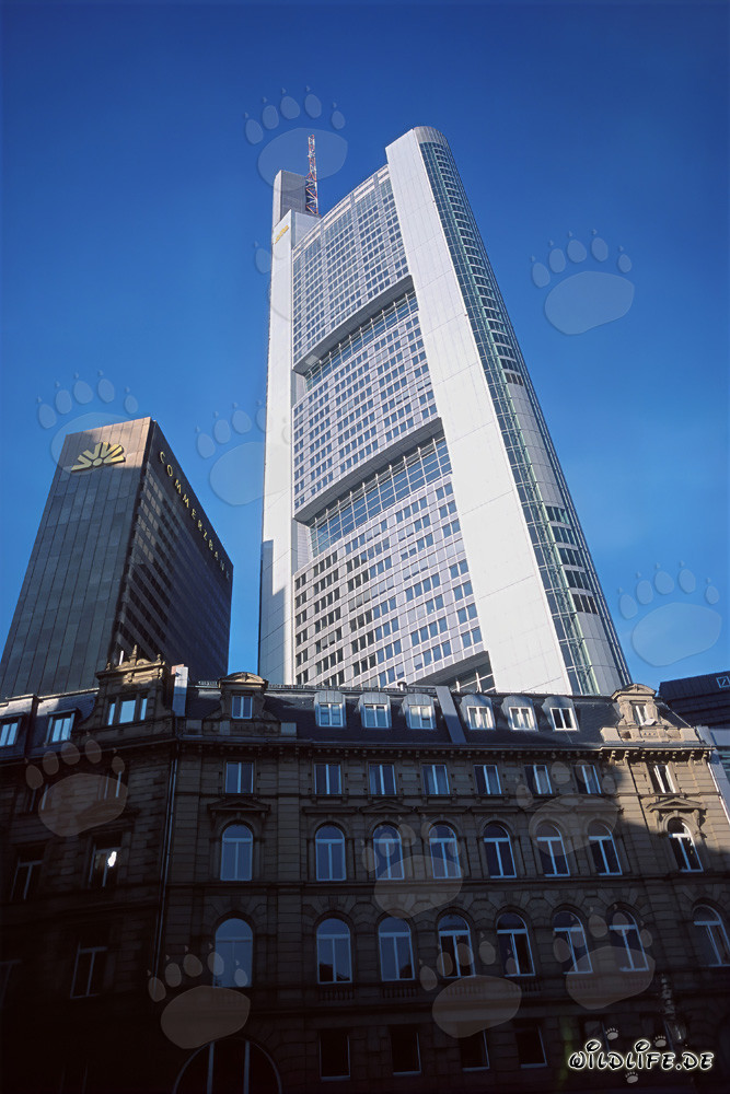 Imponente Torre Commerzbank sotto un cielo blu splendente