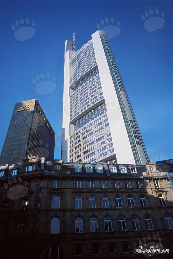 Impresionante Torre Commerzbank bajo un cielo azul brillante
