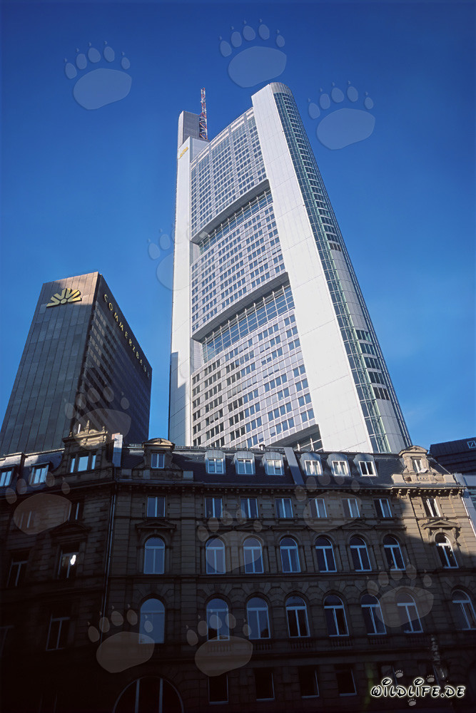 Tour Commerzbank imposante sous un ciel bleu éclatant