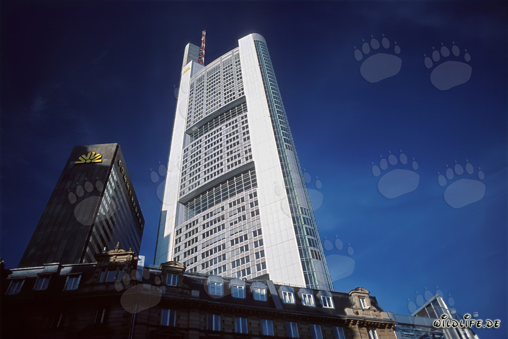 Impressionnant gratte-ciel de la Commerzbank à Francfort-sur-le-Main
