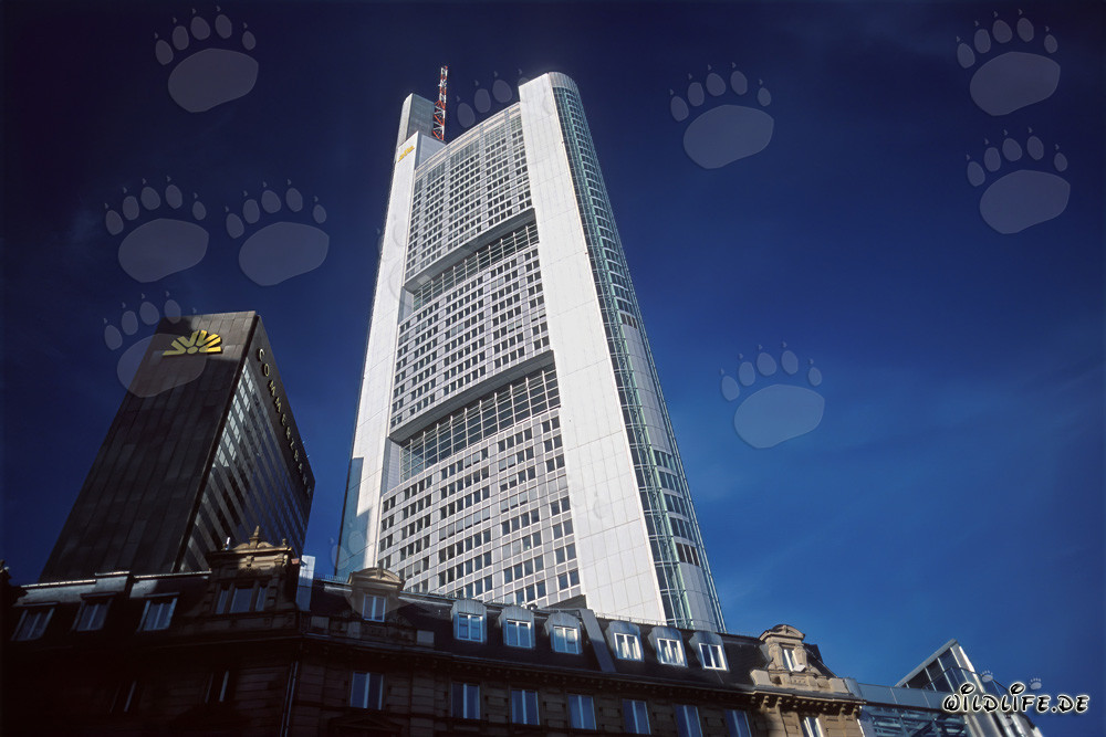Impressionante grattacielo della Commerzbank a Francoforte sul Meno