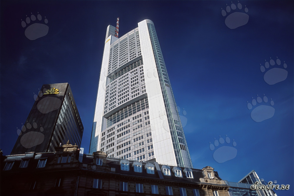 Impresionante rascacielos de la Commerzbank en Fráncfort del Meno