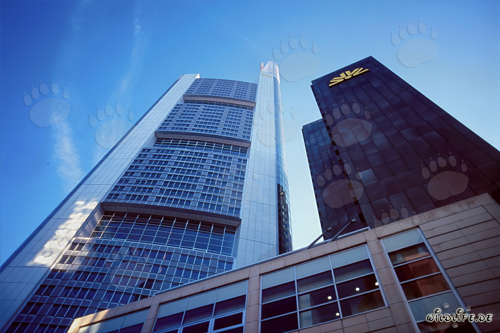Impressionnant gratte-ciel de la Commerzbank se dresse majestueusement dans le ciel
