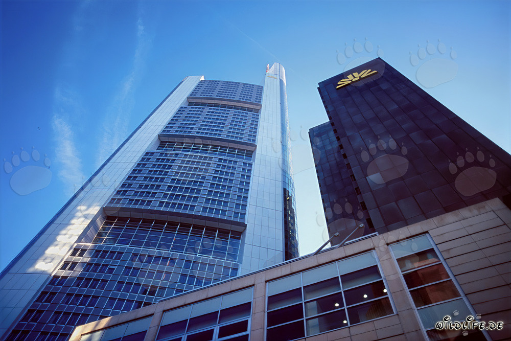 Impressive Commerzbank skyscraper majestically towers into the sky