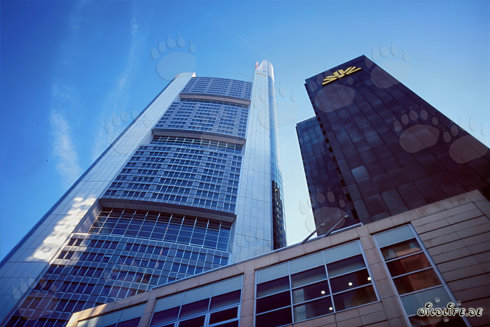 Imposanter Commerzbank-Wolkenkratzer ragt majestätisch in den Himmel