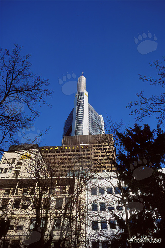 Imponente grattacielo della Commerzbank a Francoforte sul Meno