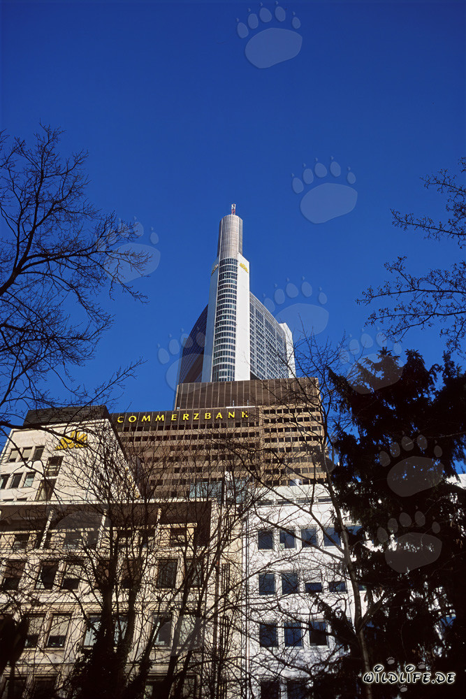 Impressive Commerzbank Tower in Frankfurt am Main