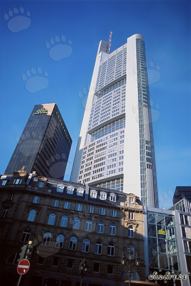 Grattacielo della Commerzbank a Francoforte, un capolavoro architettonico