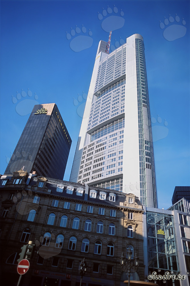 Commerzbank-Wolkenkratzer à Francfort, un chef-d'œuvre architectural