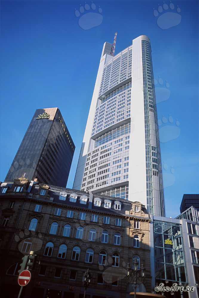 Commerzbank-Wolkenkratzer in Frankfurt, ein architektonisches Meisterwerk