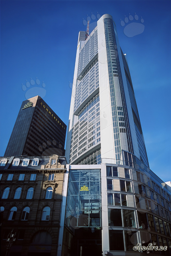 Impressionnant gratte-ciel de la Commerzbank s'élève dans le ciel de Francfort