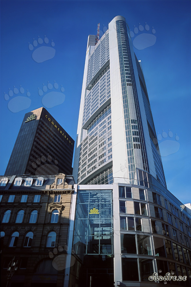 Imponente grattacielo della Commerzbank svetta nel cielo di Francoforte