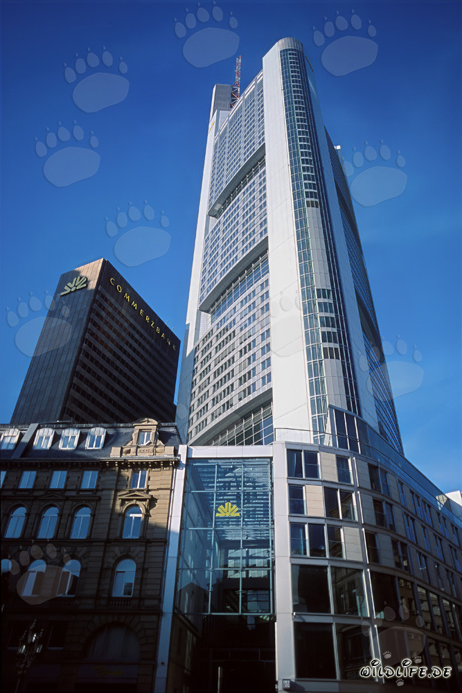 Imposantes Commerzbank-Hochhaus ragt in den Himmel von Frankfurt empor