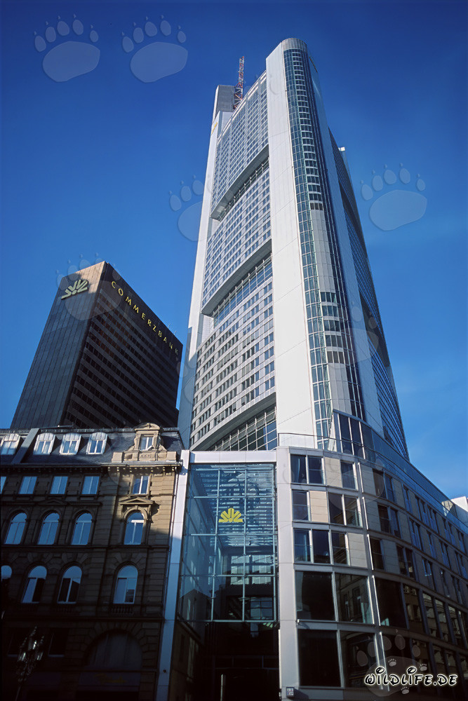 Impressive Commerzbank tower rises into the sky of Frankfurt