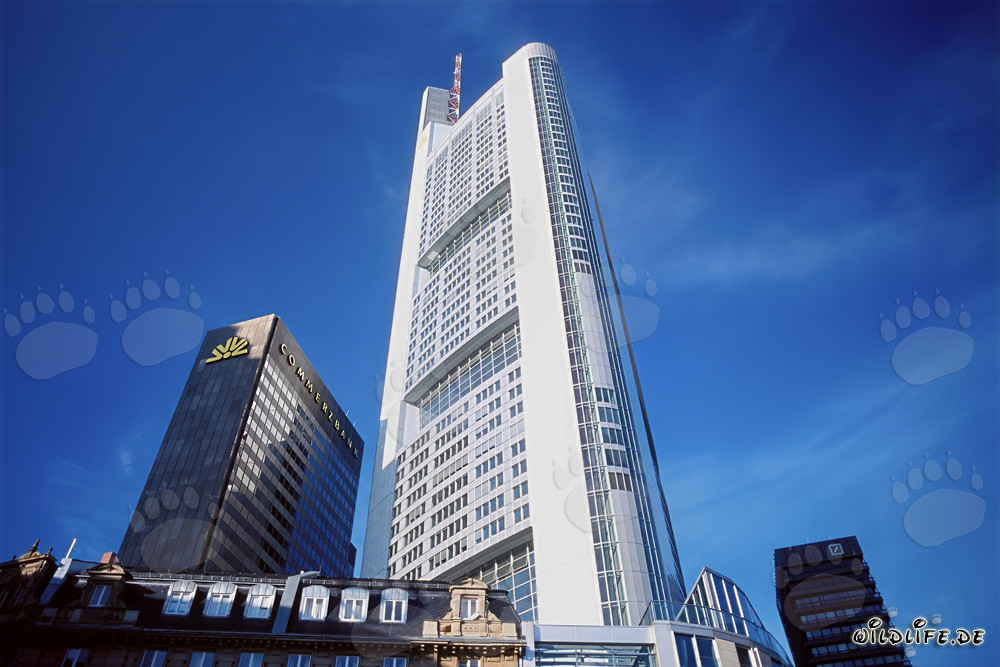 Impressionante grattacielo della Commerzbank a Francoforte sul Meno
