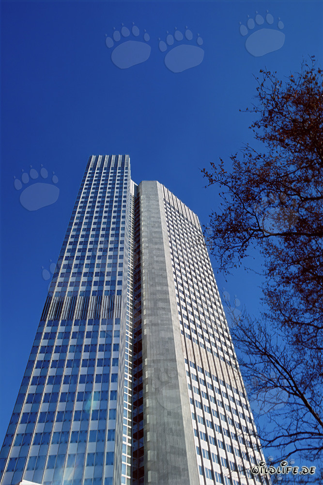 Banque centrale européenne (BCE) - Eurotower à Francfort-sur-le-Main