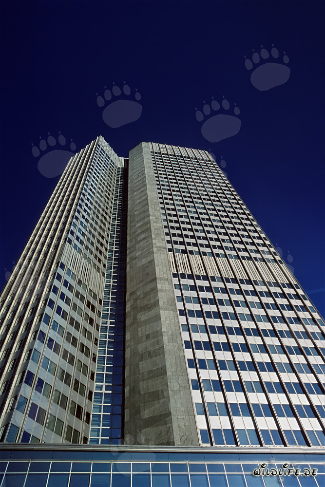 Banca Centrale Europea (BCE) - Eurotower a Francoforte sul Meno
