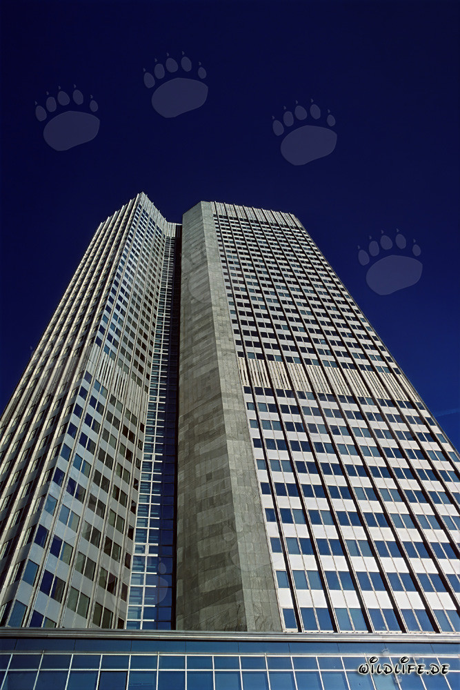 Banque centrale européenne (BCE) - Eurotower à Francfort-sur-le-Main
