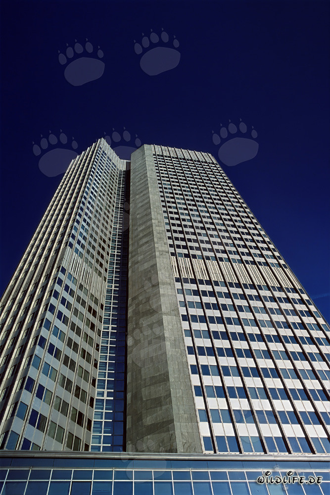 European Central Bank (ECB) - Eurotower in Frankfurt am Main