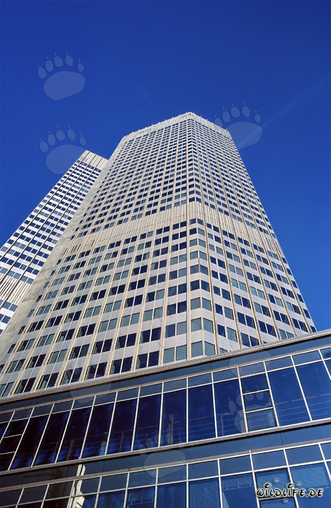 Banco Central Europeo (BCE) - Arquitectura de la Eurotorre al atardecer