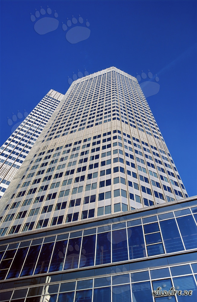 Banque centrale européenne (BCE) - Architecture de l'Eurotower au coucher du soleil