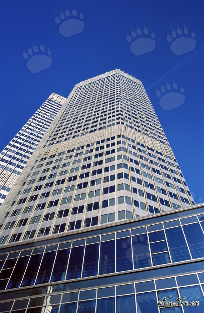 European Central Bank (ECB) - Eurotower Architecture at Sunset