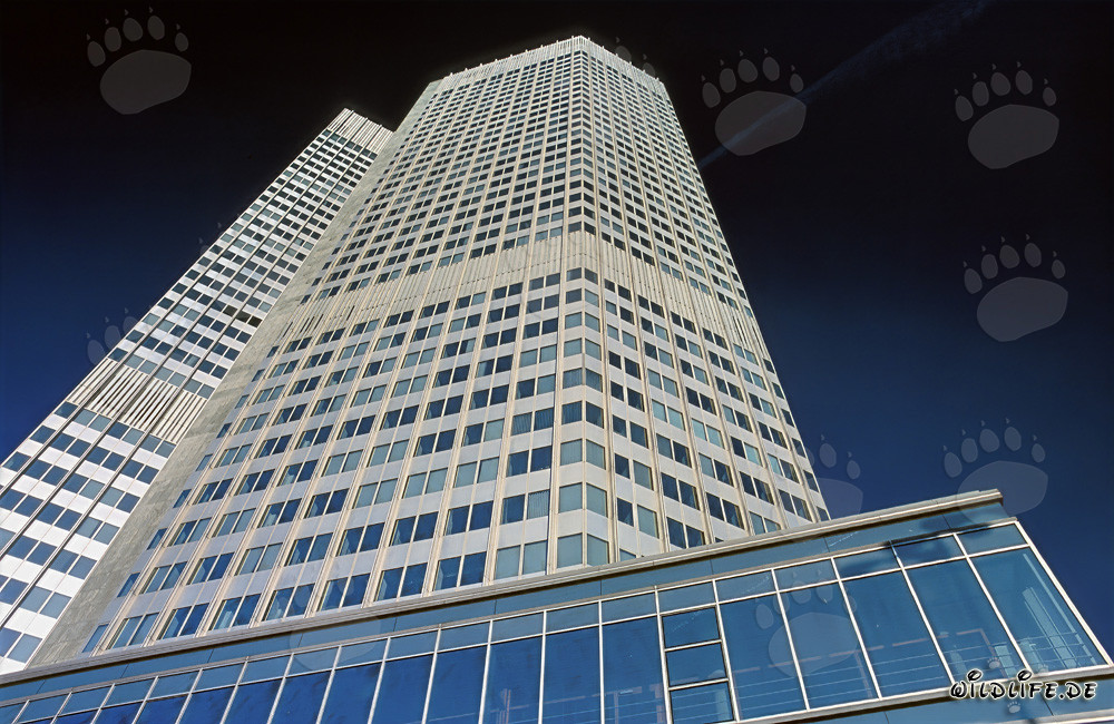 Impressive European Central Bank skyscraper in the bright blue sky